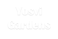 Yosvi Gardens