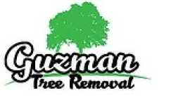 Guzman Tree Removal & Landscaping