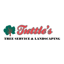 Tuttle Tree Removal