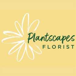 Plantscapes Florist & Flower Delivery