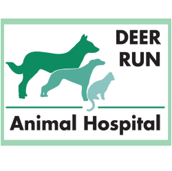 Deer Run Animal Hospital