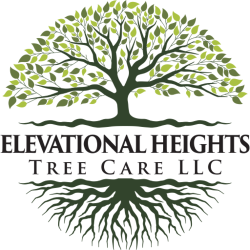 Elevational Heights Tree Care LLC