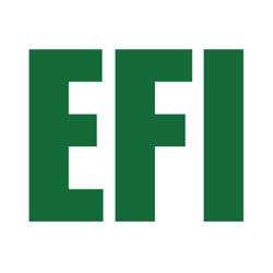 EFI Security Services