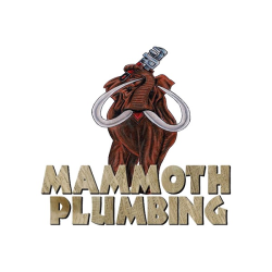 Mammoth Plumbing