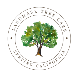 Landmark Tree Care