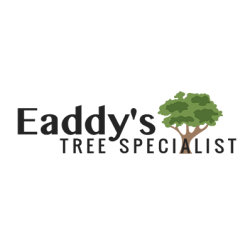 Eaddy's Tree Specialist