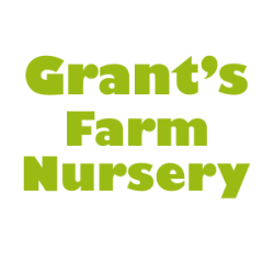 Grant's Farm Nursery
