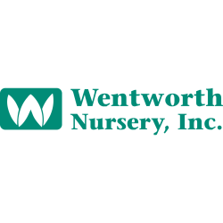 Wentworth Nursery