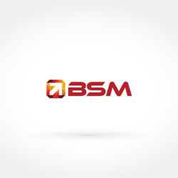 BSM - A Los Angeles SEO Company