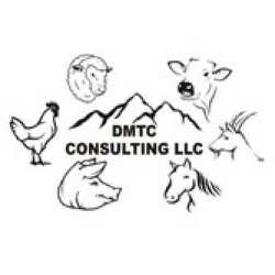 DMTC Consulting, LLC