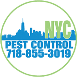 NYC Pest Control
