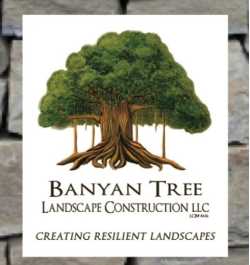 Banyan Tree Landscape Construction