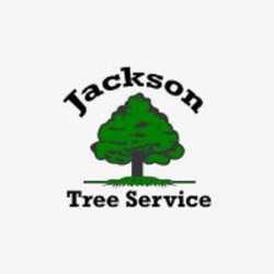 A1 Tree Service Jackson