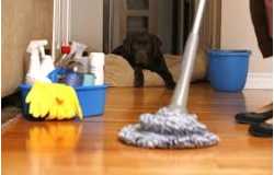 2 Good Cleaning Specialties - Janitorial & Commercial Cleaning Services