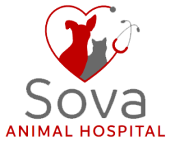 Sova Animal Hospital