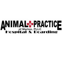 Animal Practice Of Marion Hospital & Boarding