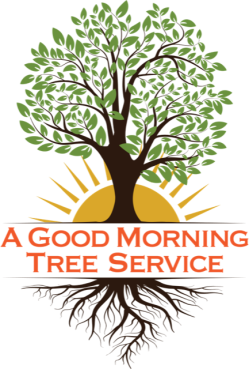 Good Morning Tree Service
