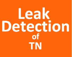 Leak Detection of Tennessee