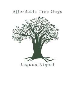 Affordable Tree Guys of Laguna Niguel