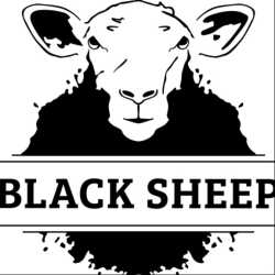 Black Sheep Design Team