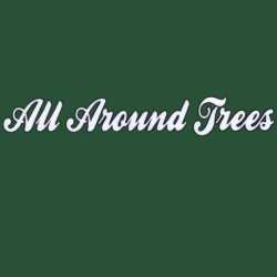 All Around Trees