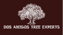 Dos Amigos Tree Experts & More