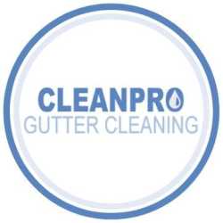 Clean Pro Gutter Cleaning Livonia