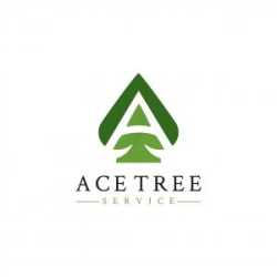 Ace Tree Service