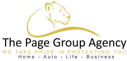 The Page Group Agency