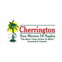 Cherrington Tree planting