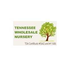 Tennessee Wholesale Nursery LLC