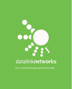 Datalink Networks Inc.