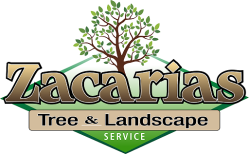 Zacarias Tree & Landscaping
