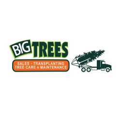 Big Trees Inc
