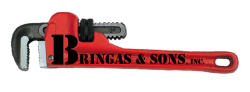 Bringas And Sons Inc.