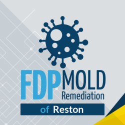 FDP Mold Remediation of Reston
