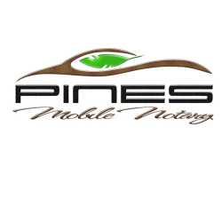 Pines Mobile Notary & Apostille