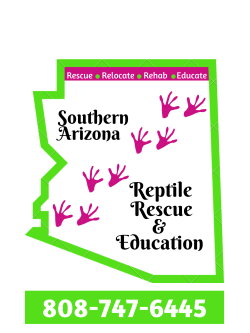 Southern AZ Reptile Rescue & Education