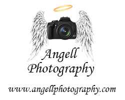 Angell Photography