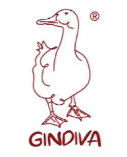 Gindiva Mining Group & Consultants 