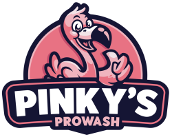 Pinky's Prowash