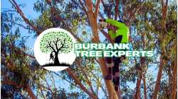 Burbank Tree Experts