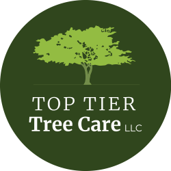 Top Tier Tree Care, LLC