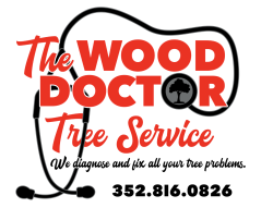 The Wood Doctor Tree Service