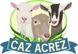 Caz Acrez Enterprises LLC