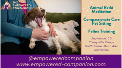 The Empowered Companion