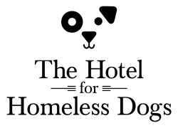 Hotel for Homeless Dogs * New England Humane Society