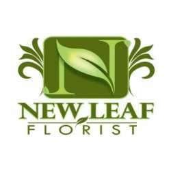 New Leaf Florist & Flower Delivery