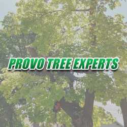 Provo Tree Experts