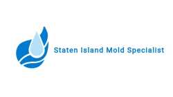 Staten Island Mold Specialist - Mold Inspection & Mold Removal Services